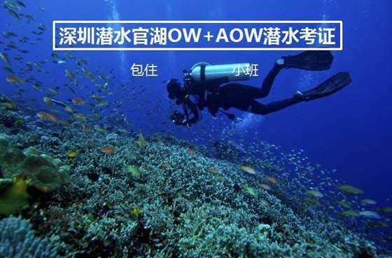 我市大力推进农业现代化进程